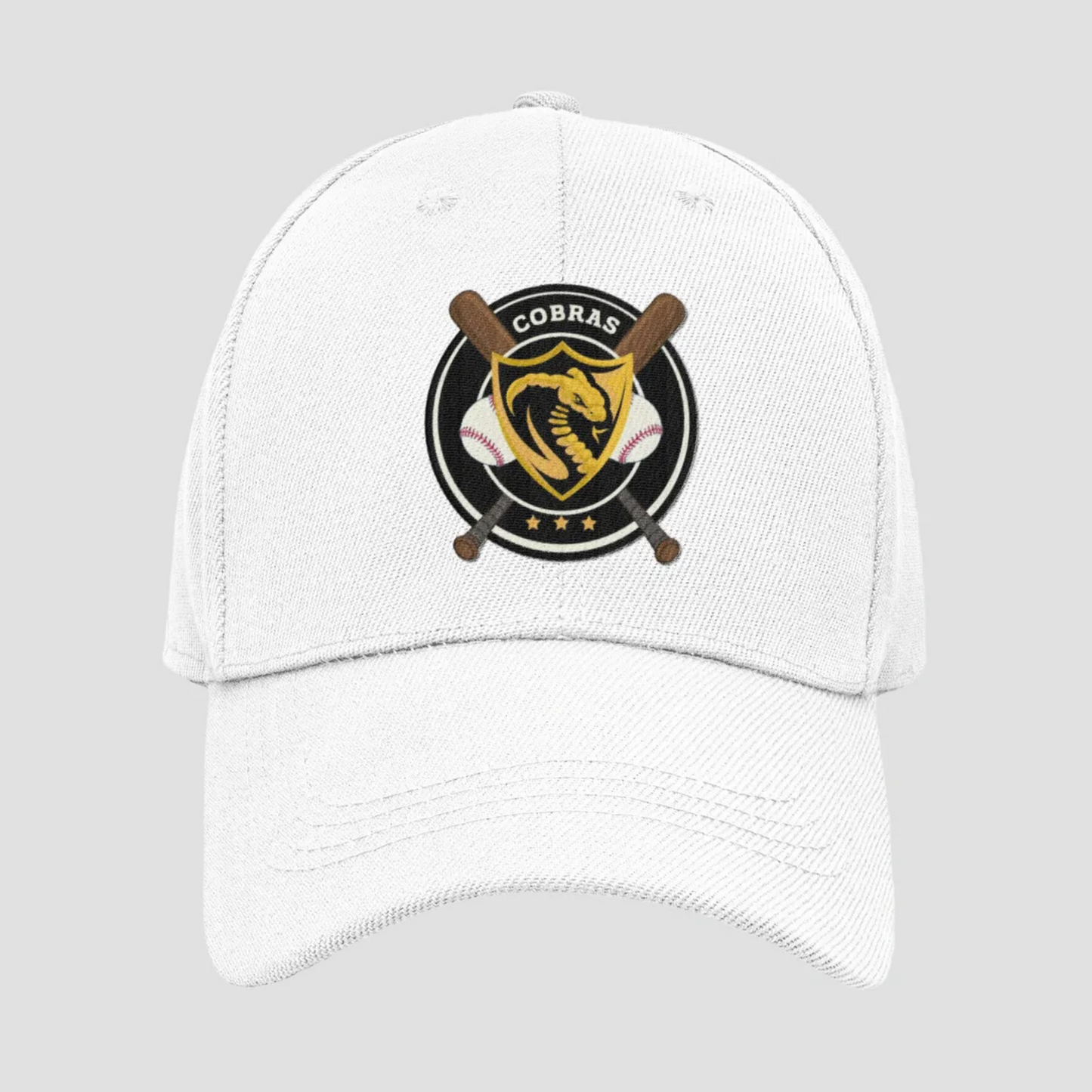 Cobras Baseball Swag (Bags, Tumblers, Hats, etc.)
