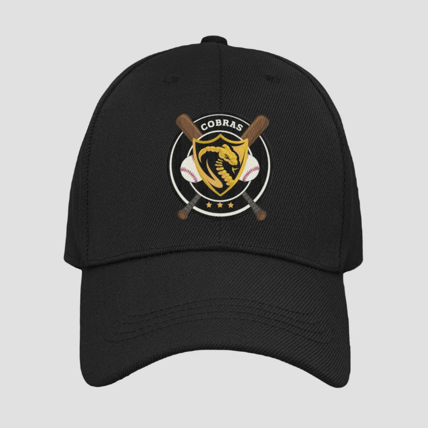 Cobras Baseball Swag (Bags, Tumblers, Hats, etc.)