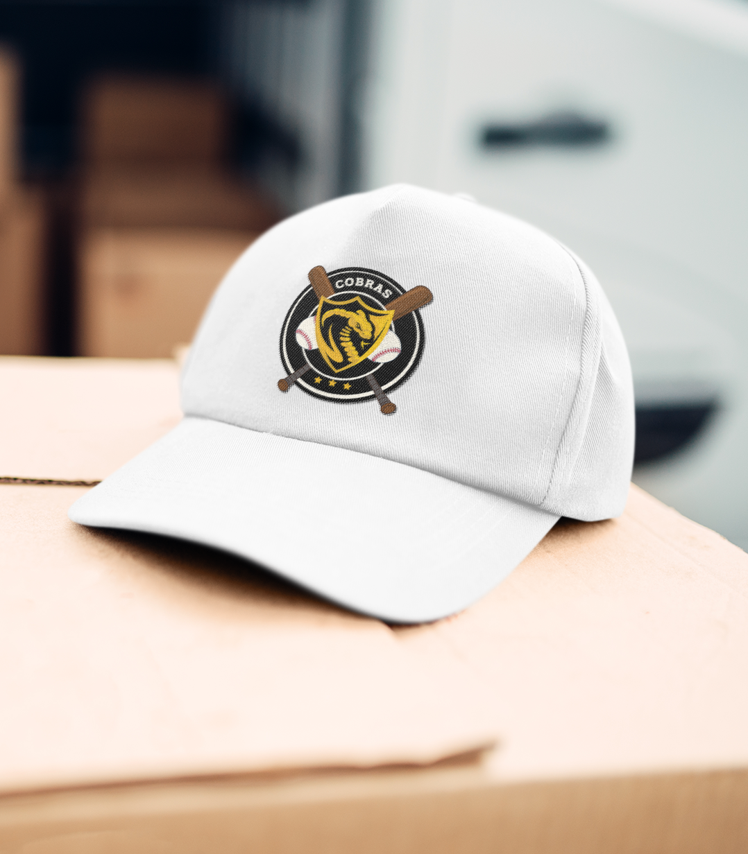 Cobras Baseball Swag (Bags, Tumblers, Hats, etc.)