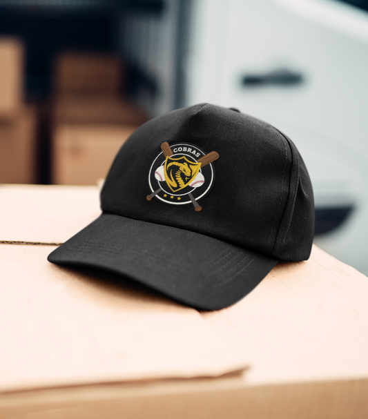 Cobras Baseball Swag (Bags, Tumblers, Hats, etc.)